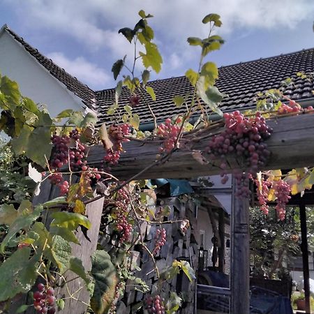 Gemuetlichkeit Am Vierkanthof - Apartment 2 Worterberg المظهر الخارجي الصورة