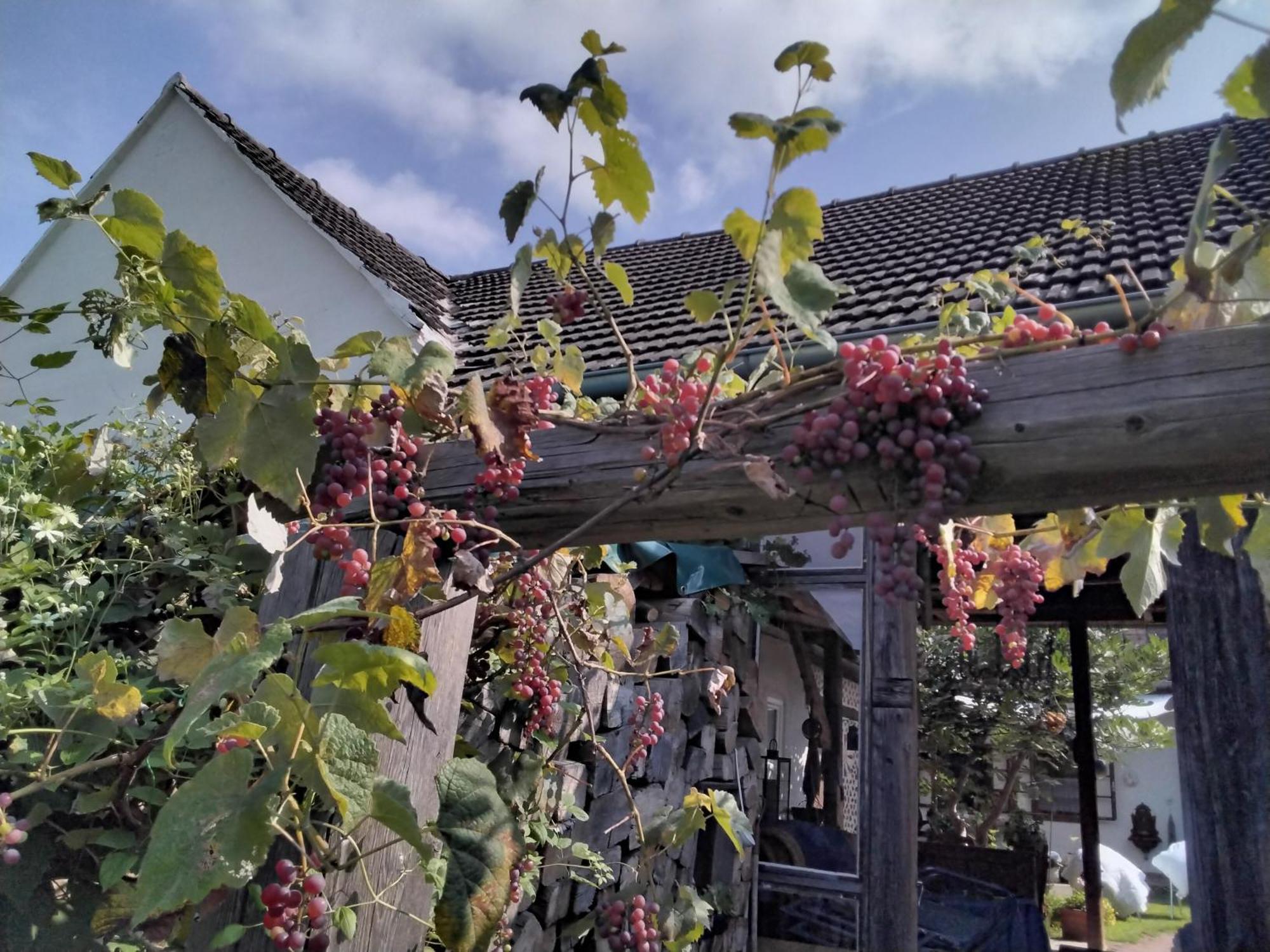 Gemuetlichkeit Am Vierkanthof - Apartment 2 Worterberg المظهر الخارجي الصورة